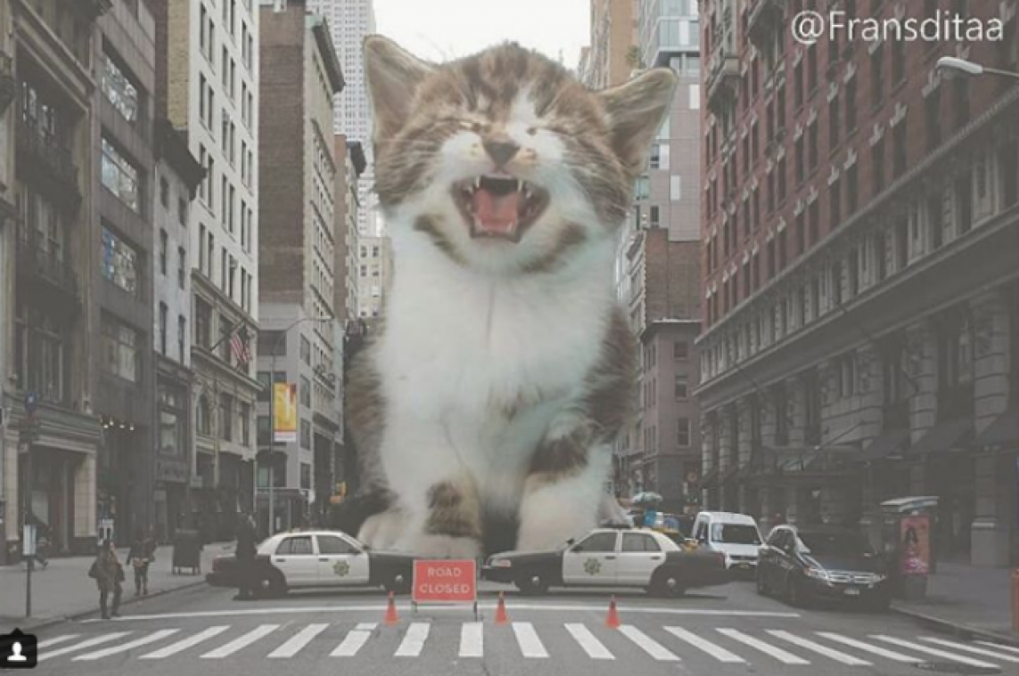 Deze kunstenaar fotoshopt katten als reuzen