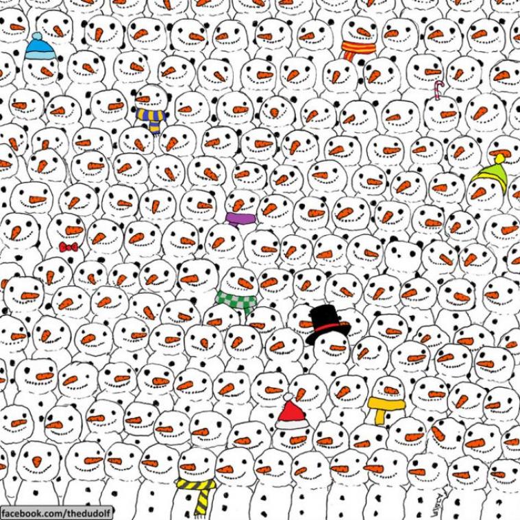 Kan jij de panda vinden in deze tekening?