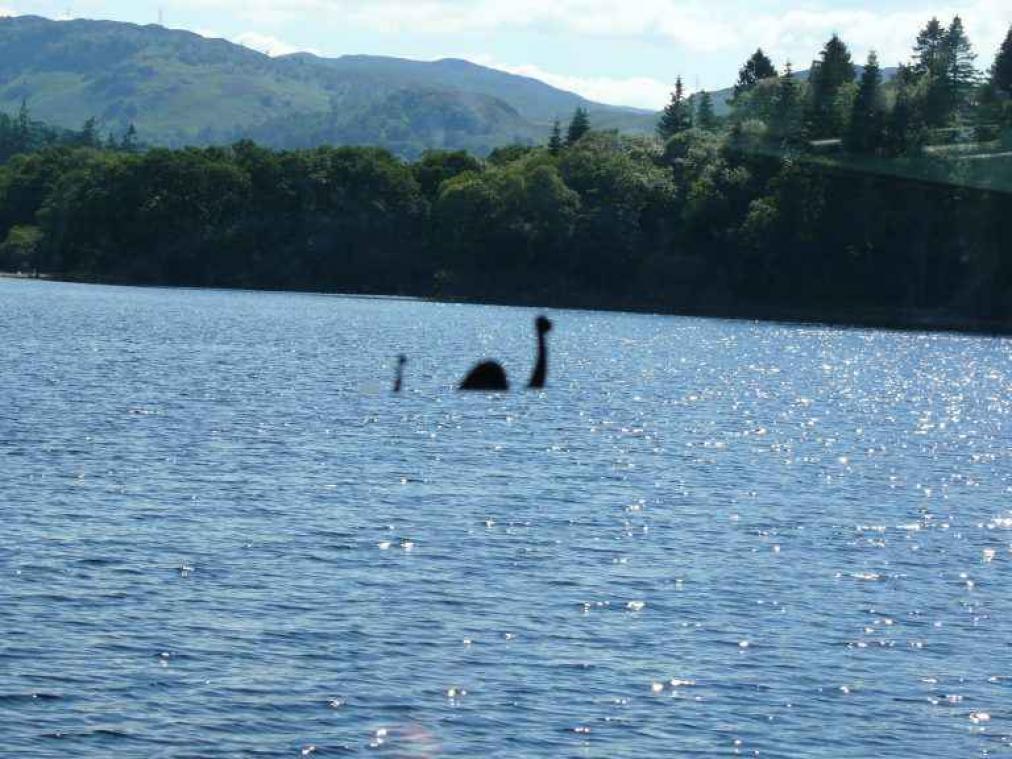 DNA-test moet uitwijzen of monster Loch Ness echt bestaat