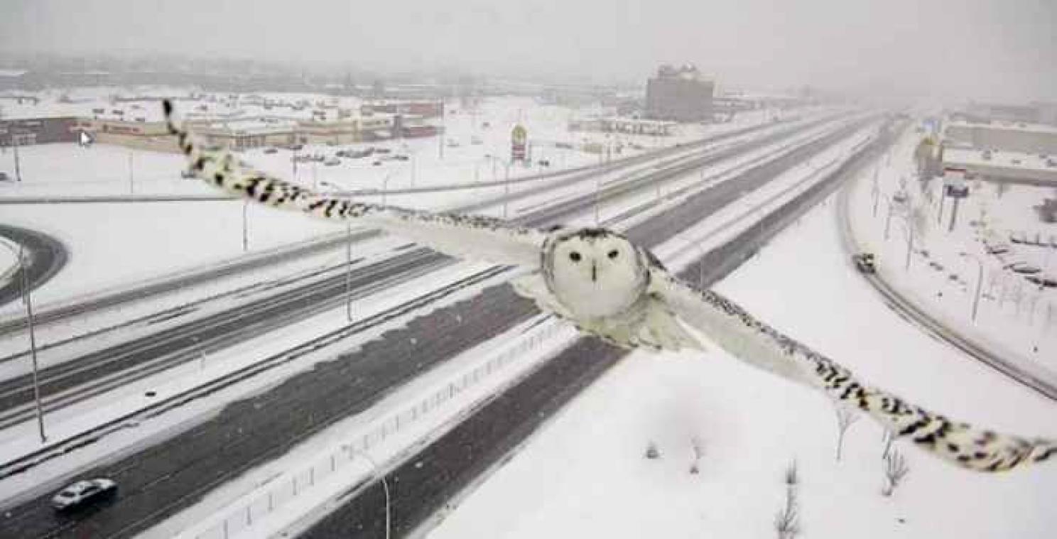 Verkeerscamera schiet schitterend winterbeeld