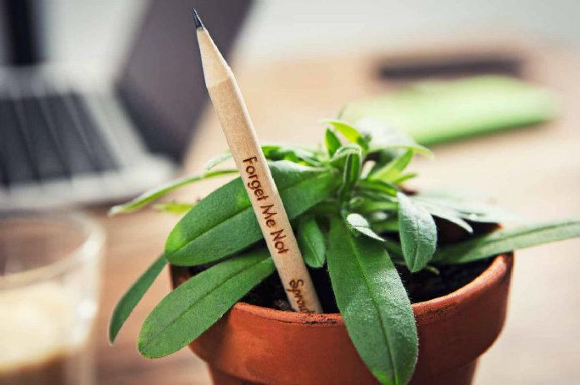 Uit dit potlood groeit een plantje