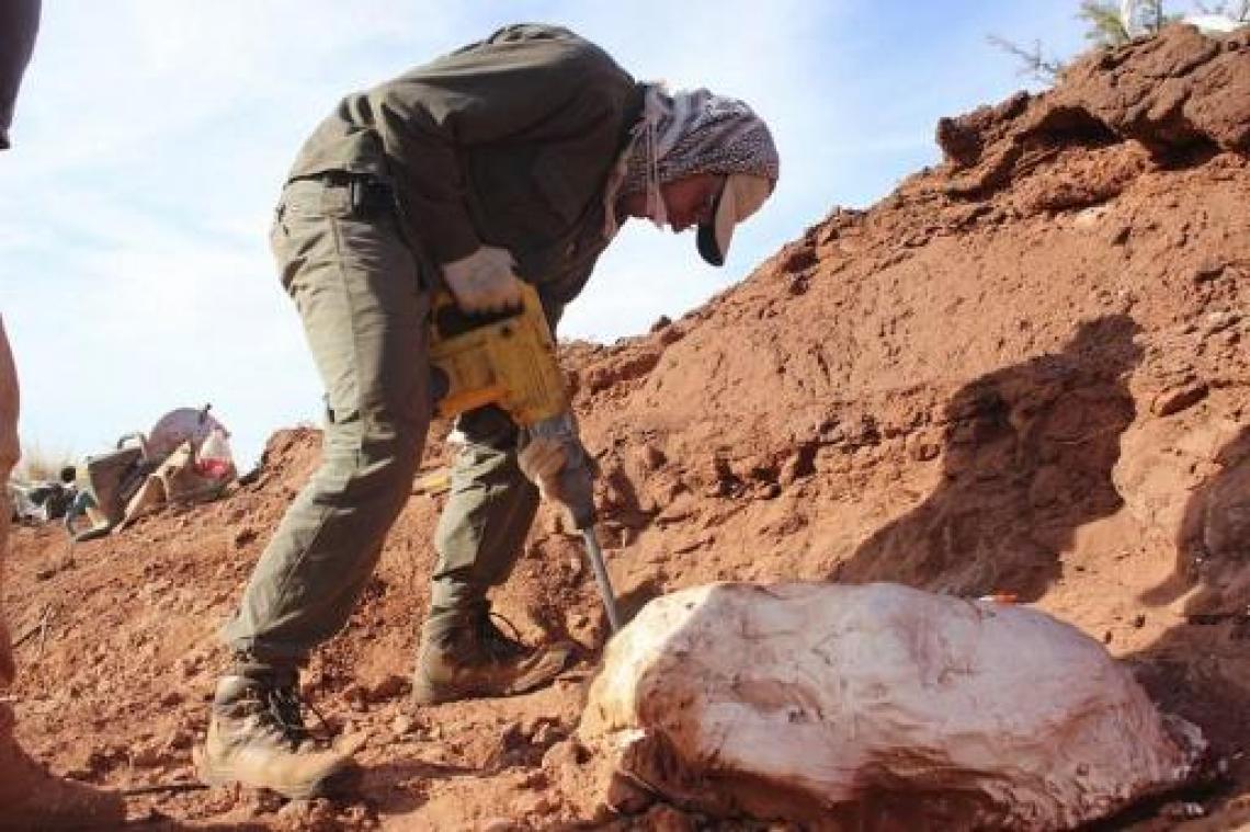 Resten gevonden van reuzegrote dinosaurus van 200 miljoen jaar oud in Argentinië