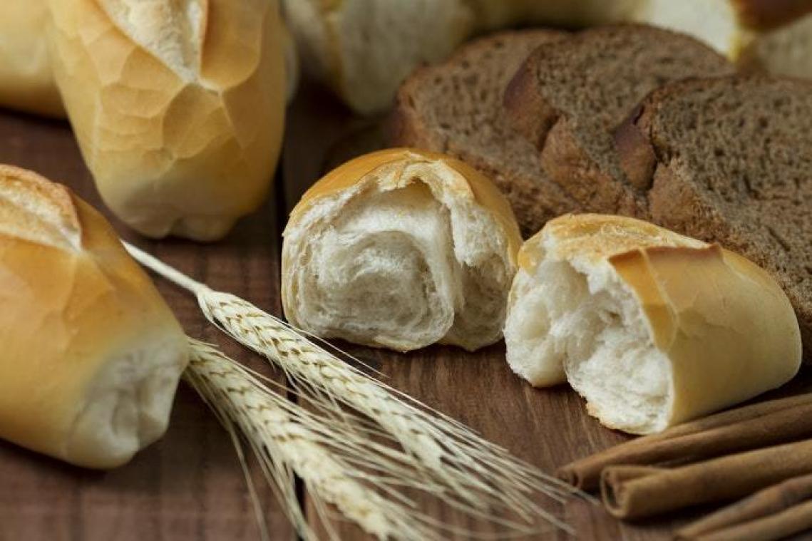 'Oudste brood ooit' doet wetenschappers de wenkbrauwen fronsen