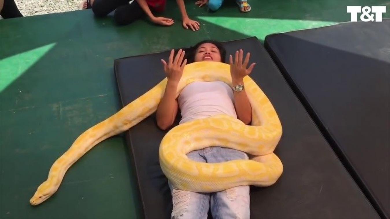 VIDEO. Filipijnse dierentuin biedt massage van Birmese python aan