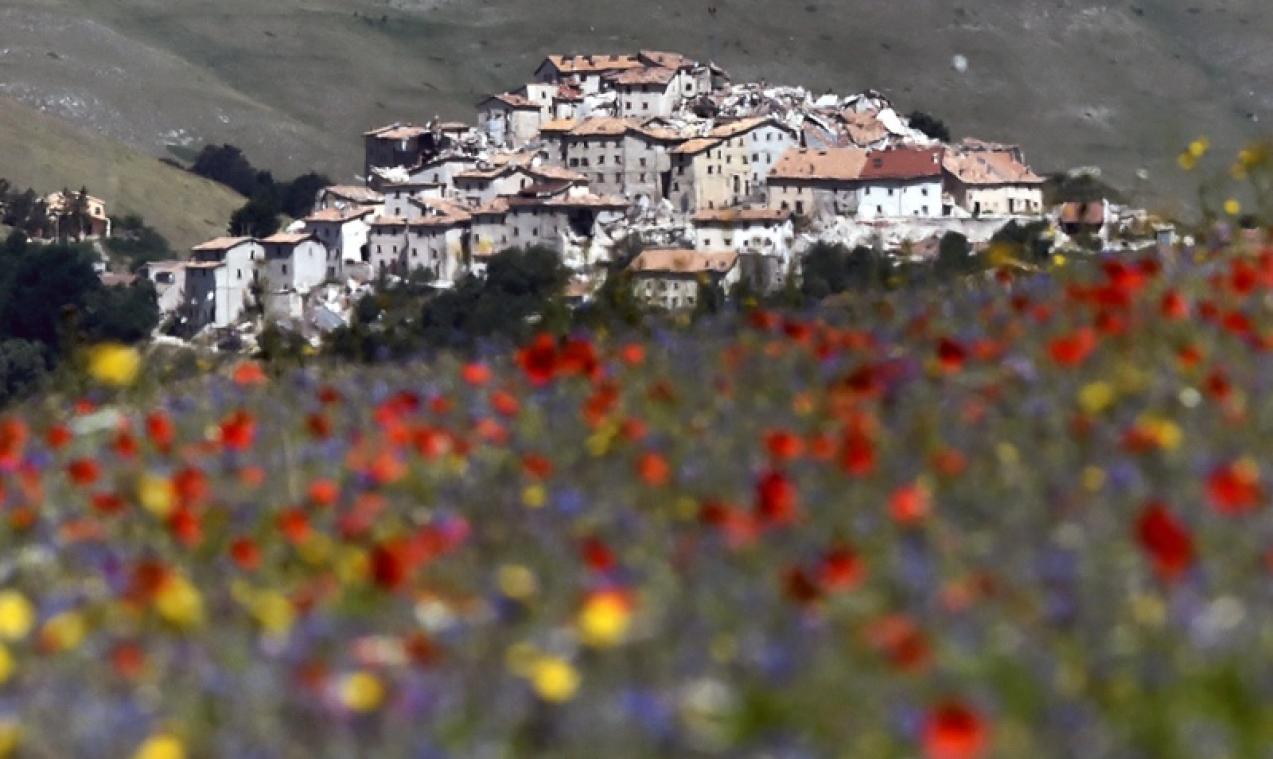 IN BEELD. Italiaanse bloemenvallei creëert een spectaculair kleurenpallet