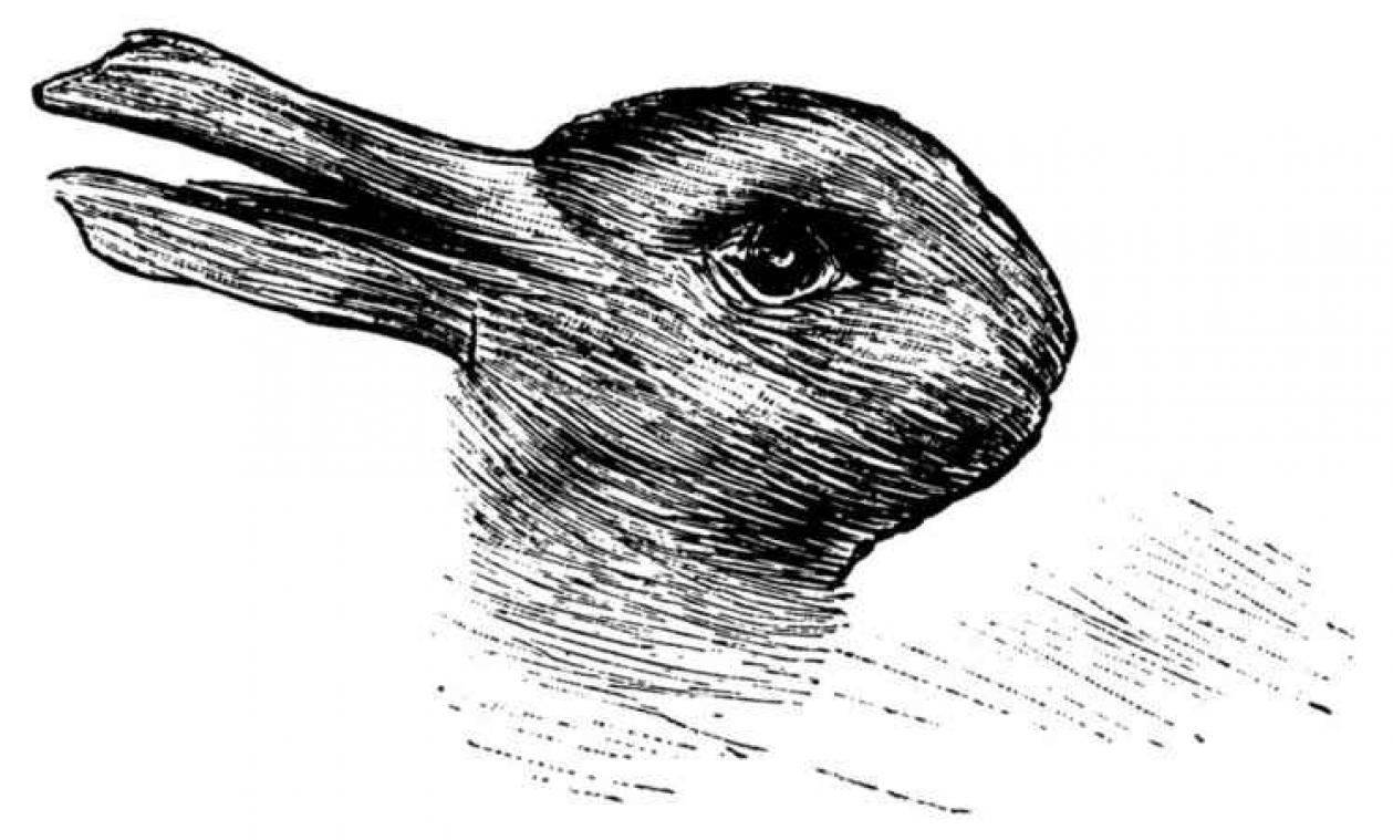 Wat zie jij, een eend of konijn?