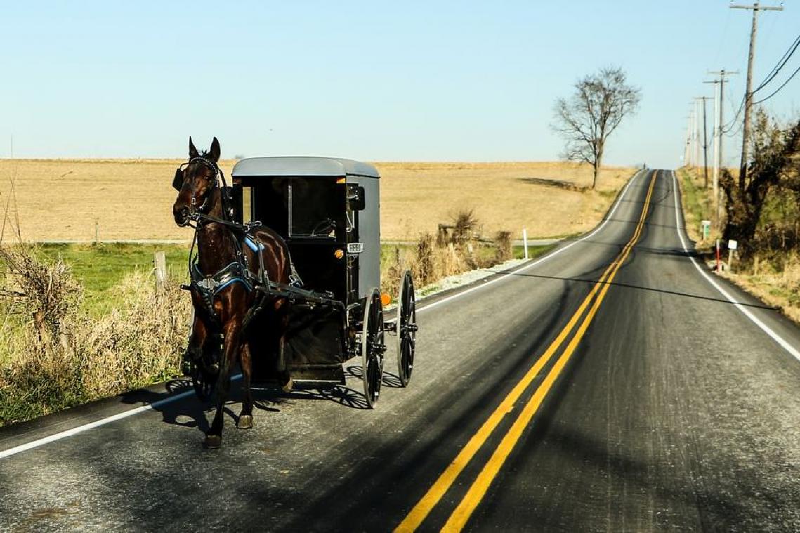 Amerikaan start 'Amish Uber' met paard en kar
