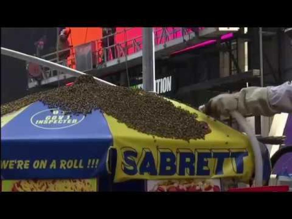 VIDEO. Zwerm bijen strijkt neer op hotdogkraam