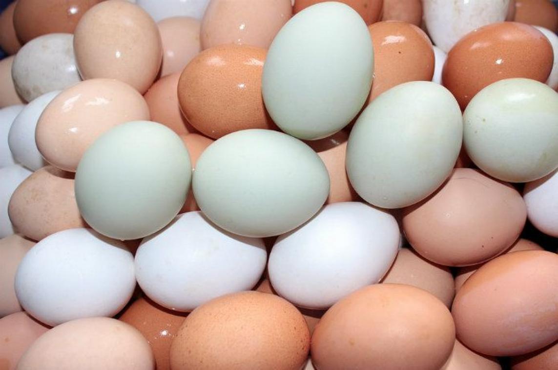 Bruine eitjes niet gezonder dan witte, maar wel duurder