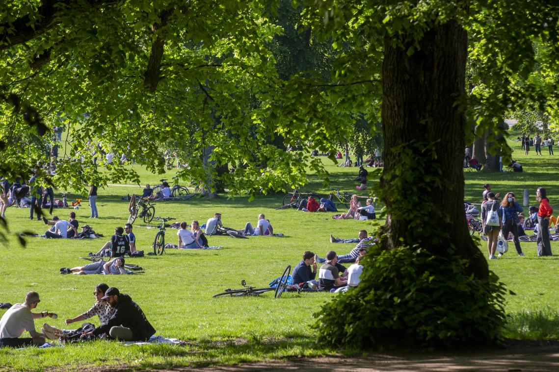 Studie: groen én goede buren maken Brusselaars gelukkig