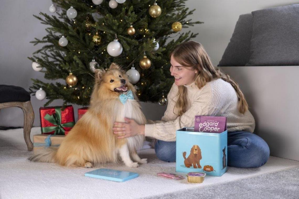 Kerstcadeau kopen voor jouw hond? Zo veel mensen doen het