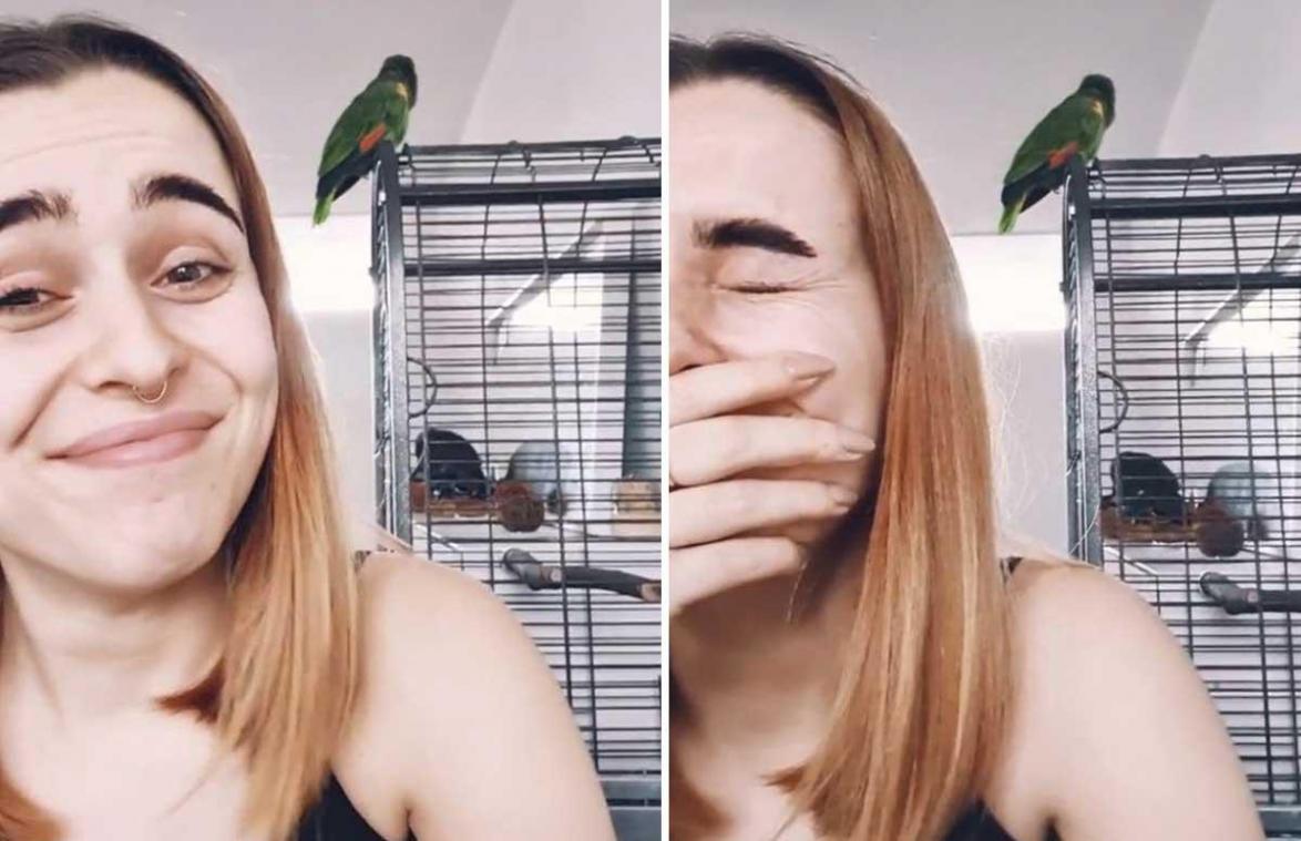 HILARISCH! Vrouw schaamt zich dood wanneer papegaai haar seksgeluiden nabootst (video)