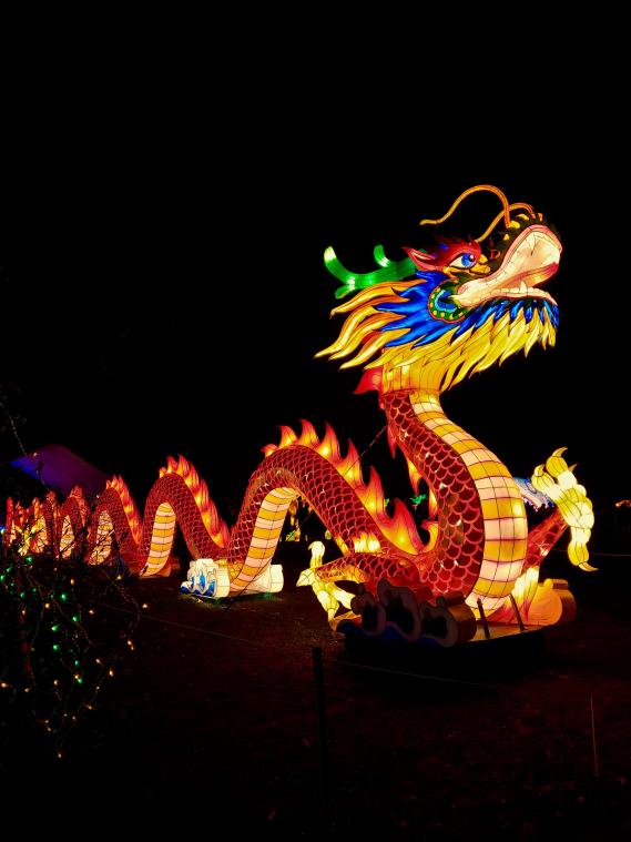 Chinees Nieuwjaar: welk gerecht brengt jouw sterrenbeeld geluk?
