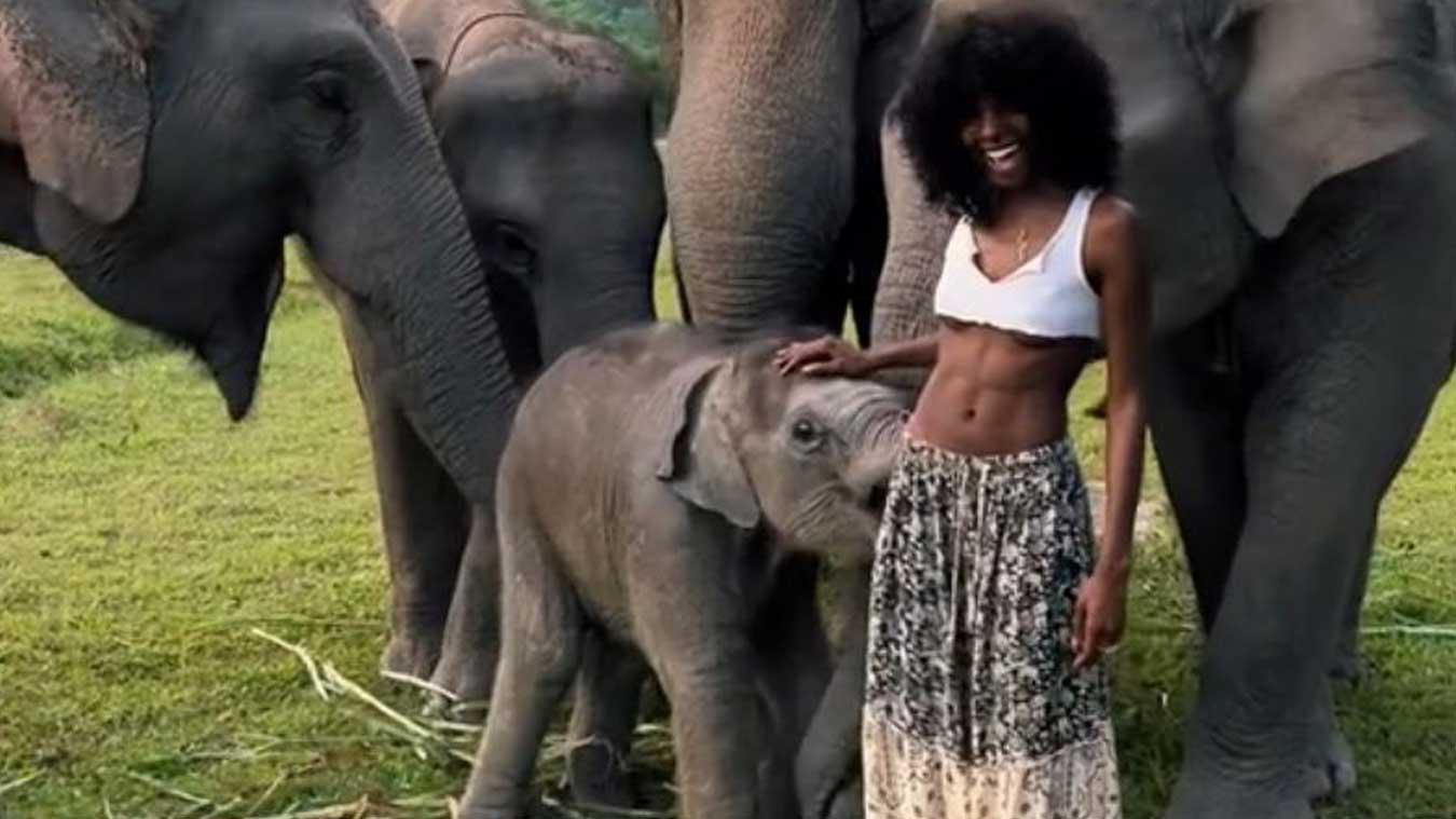 Speelse babyolifant trekt rokje van model uit: «Dit is zo schattig!» (video)