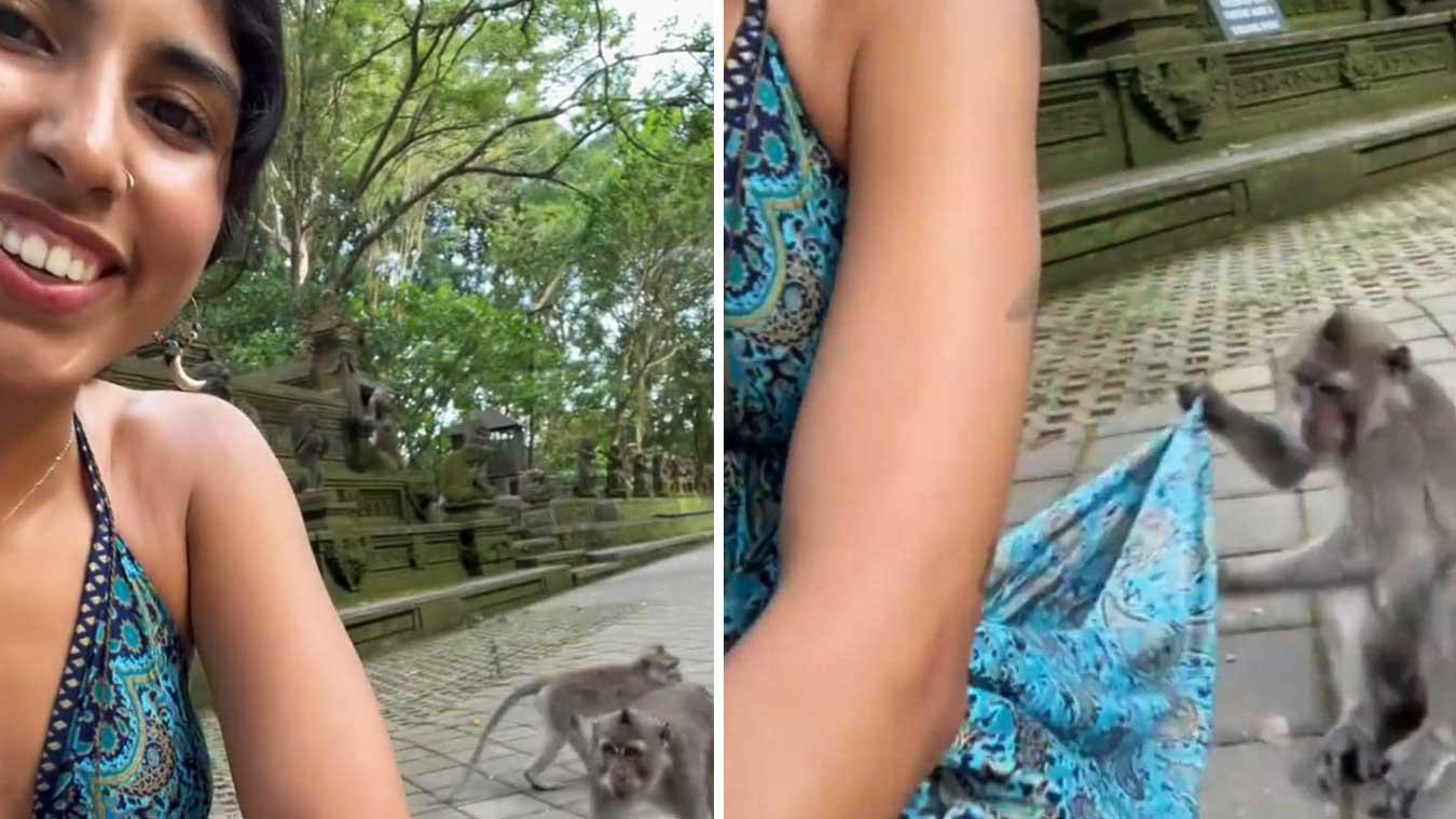 Vrouw laat aapje dichtbij komen, maar dan doet de deugniet DIT met haar kleedje... (video)