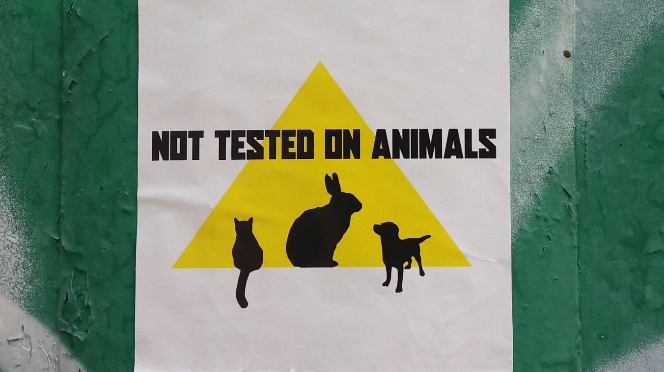 Animal Rights verzamelt ruim 1,4 miljoen handtekeningen voor einde aan dierproeven