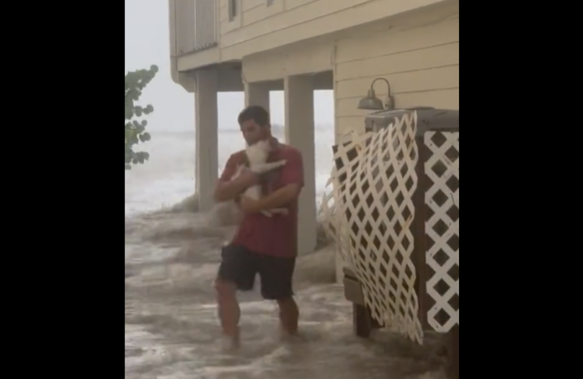 Heldhaftige man redt kat van kolkende waterstroom tijdens storm Ian (video)