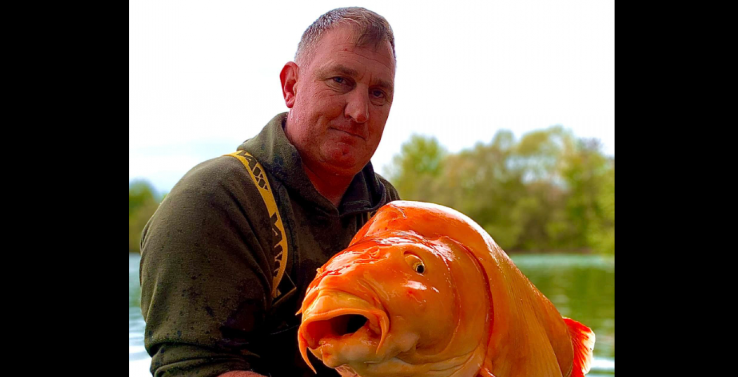 WTF. Visser vangt GIGANTISCHE ‘goudvis’ in Frankrijk