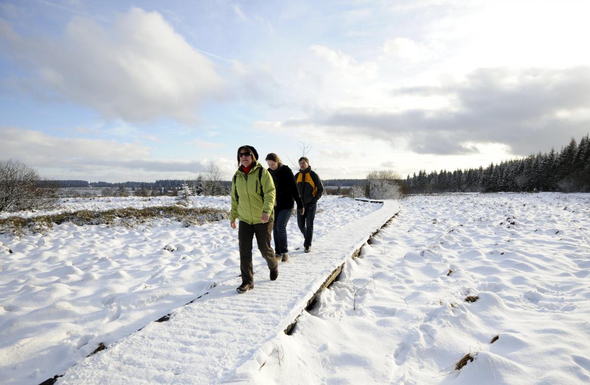 Winterse neerslag op komst: tot 20 centimeter sneeuw in de Ardennen